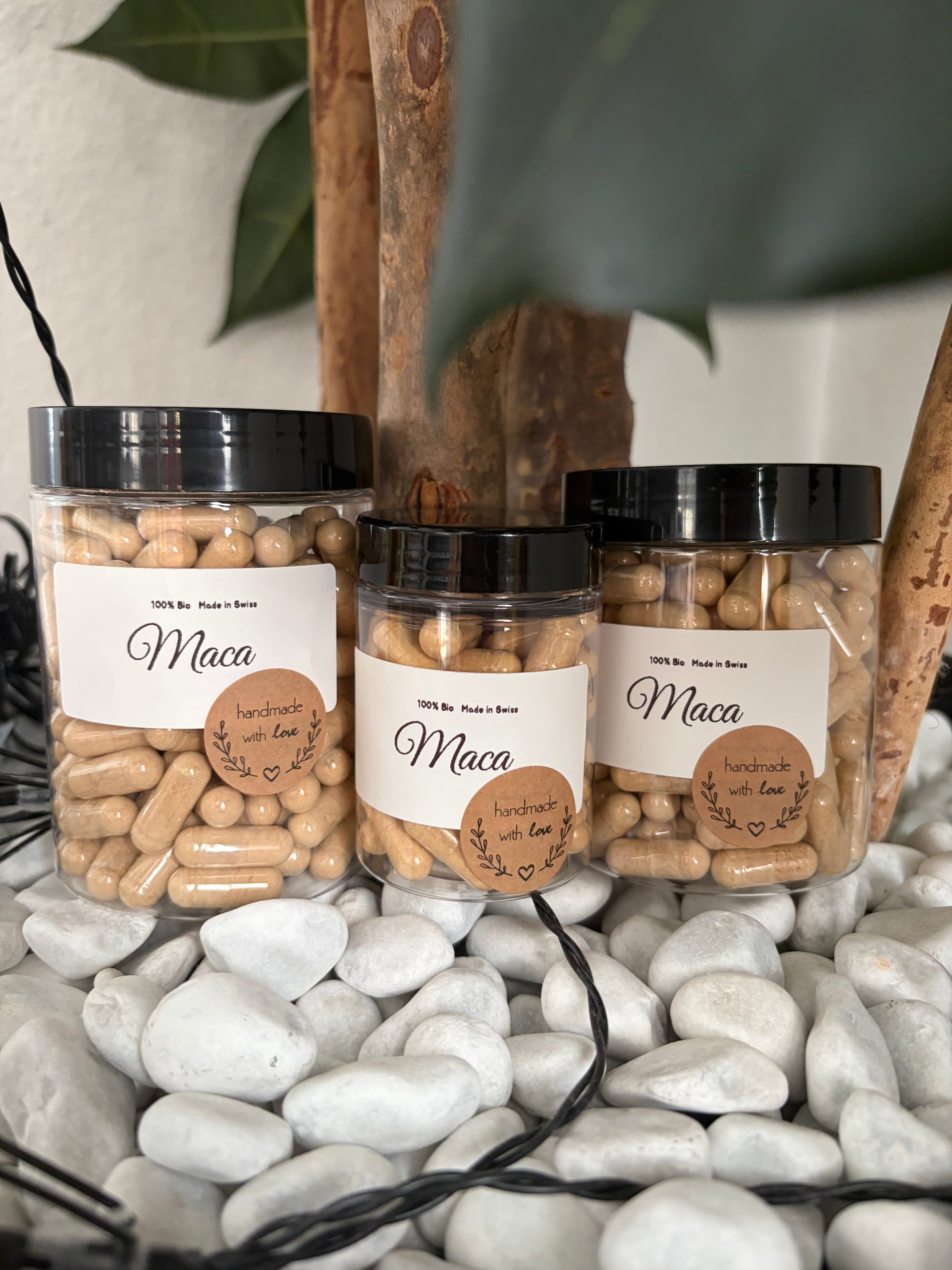 Maca