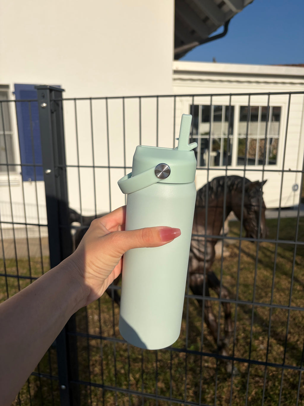 Edelstahl-Trinkflasche mit Strohhalm – Mintgrün