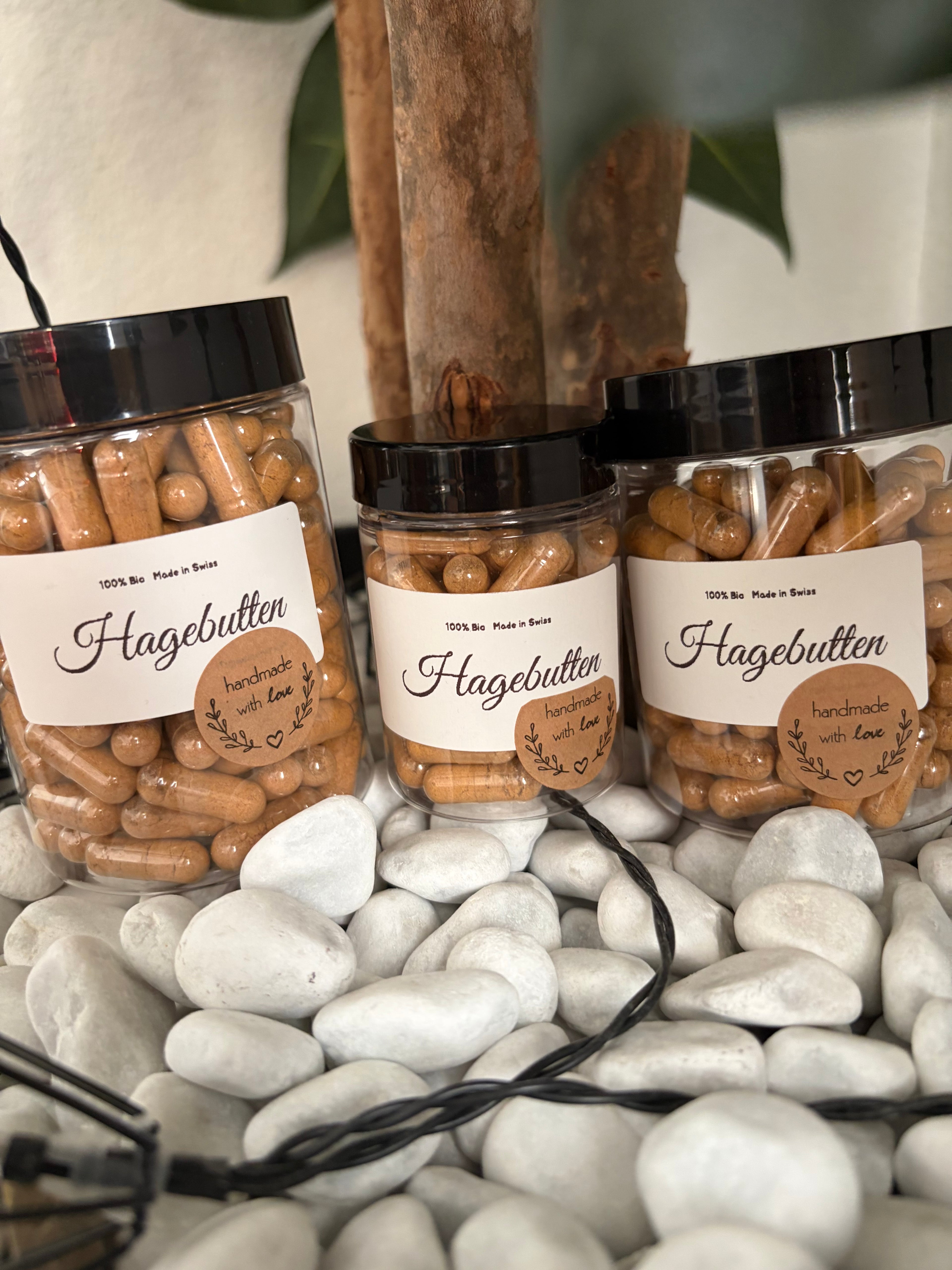 Hagebutte