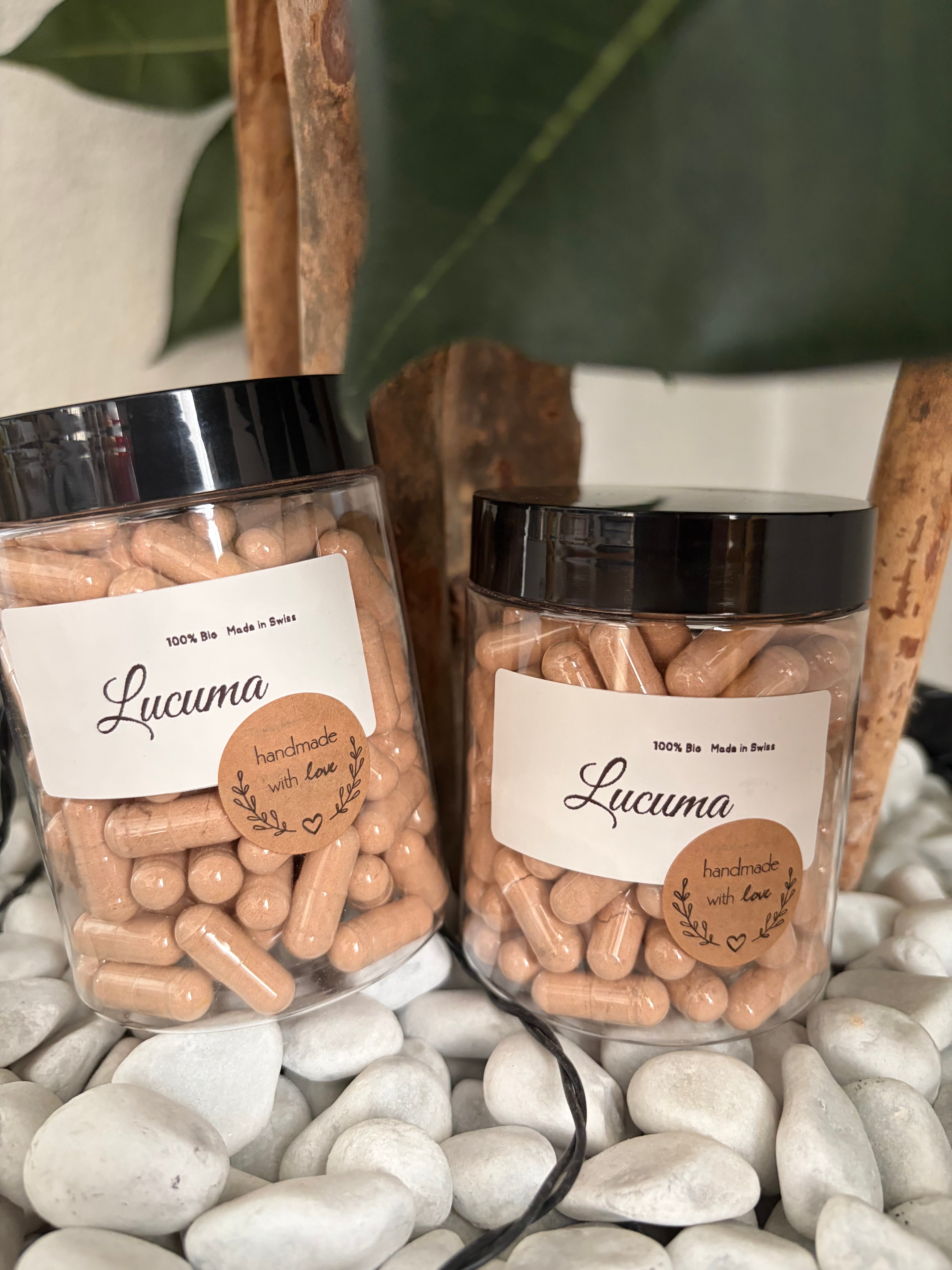 Lucuma