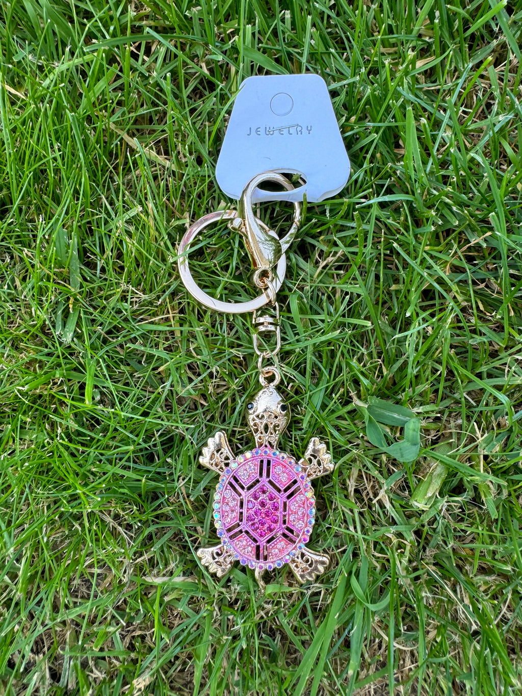 Diamond Turtle
